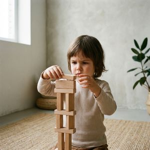 Attention et organisation